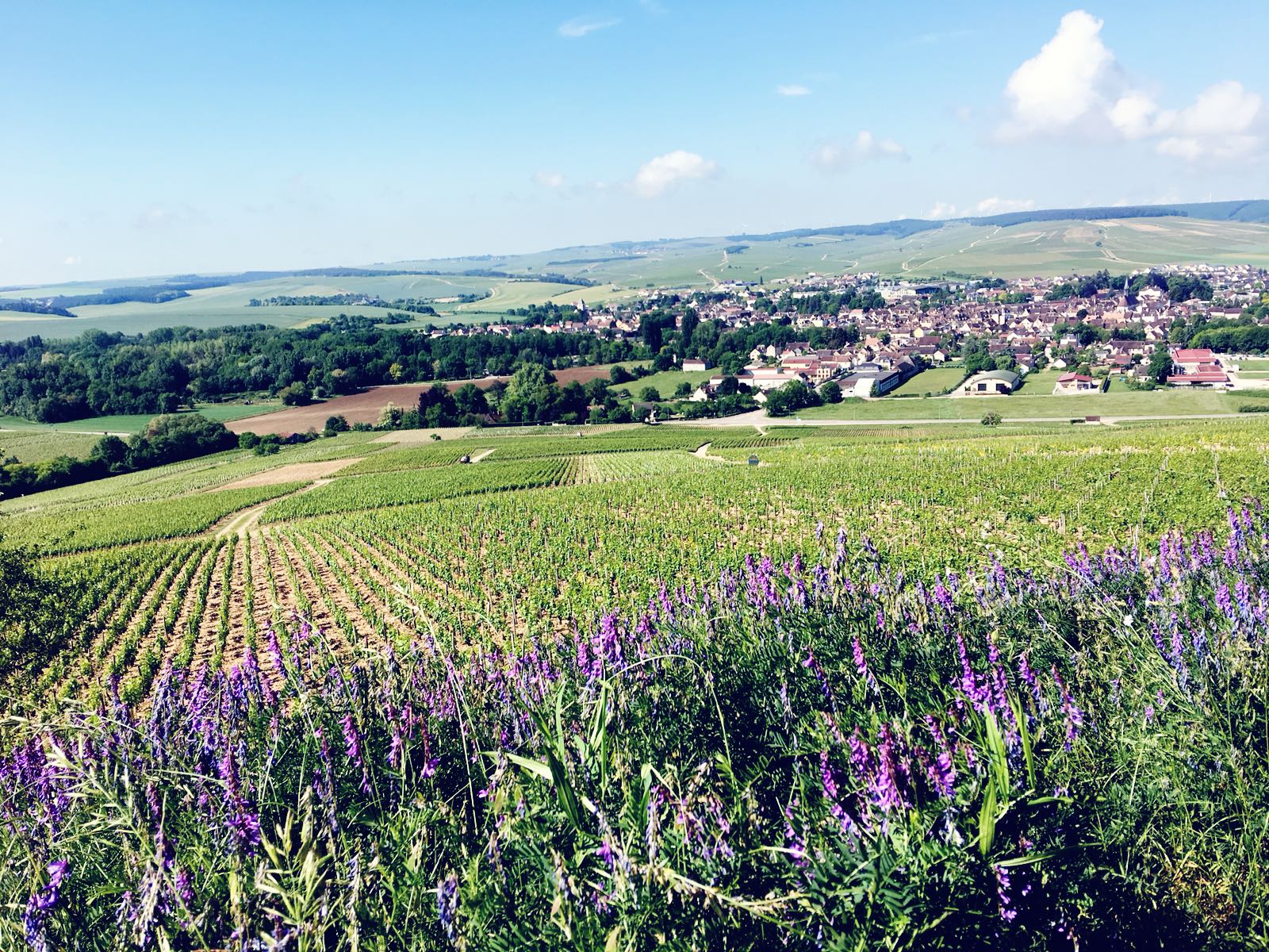 539324ae-9fed-4f6a-9919-d701f2c11391